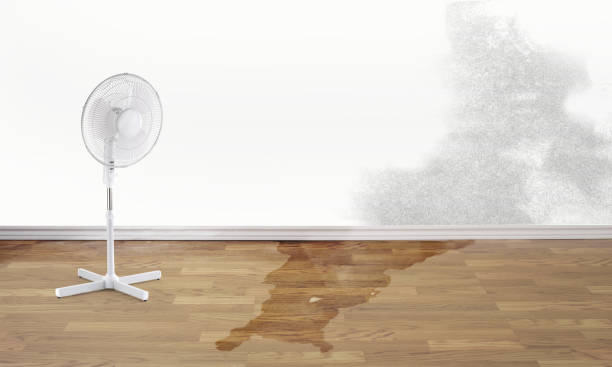Water damage restoration process in Fremont, OH